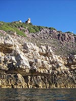Torre Poglina